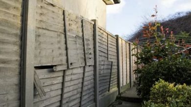 Photo of My Overbearing Neighbor Demanded I Remove My Old Fence – The Way Karma Retaliated Is Astounding