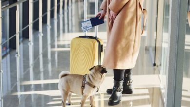 Photo of Privileged Woman Allows Her Dog to Defecate on the Airport Floor and Demands Staff Clean It Up – I Gave Her a Memorable Lesson