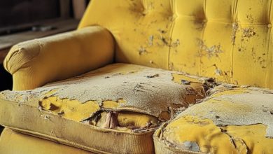 Photo of My Stepmother ‘Presented’ Me with an Old, Musty Sofa — Upon Seeing My Transformation of It, She Insisted I Pay Her $2,500