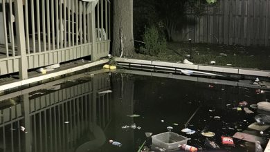 Photo of Presumptuous Neighbors Held a Noisy Party and Treated Our Pool Like a Garbage Can – They Didn’t Escape Consequences