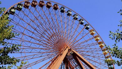 Photo of Family Feud on a Ferris Wheel Forces Out Surprising Secrets