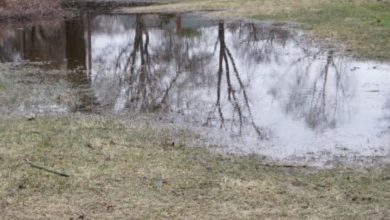 Photo of My Children Returned Home to Discover Our Neighbors Dumping Dirt into Our Lake — Fate Dealt with Them Before I Had the Chance