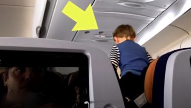 Photo of Flight Attendant Hears Sobbing from Lavatory, Discovers Child Not Listed on Passenger Manifest