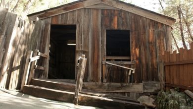 Photo of My Aged Neighbor Went to an Old Shack Daily at the Same Hour – I Was Stunned When I Looked Inside One Day