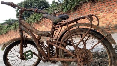 Photo of My Uncle Presented Me with a Rusty Bike for My Birthday – After Seeing How I Transformed It, He Demanded $3,000