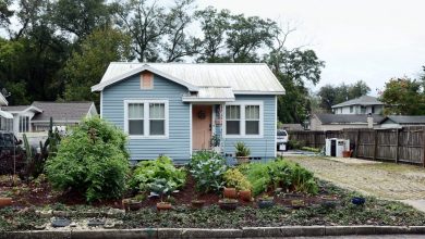 Photo of Our Neighbors’ Garden Flourishes, While Ours Always Looks Withered — The Surprising Reason Left Us Stunned