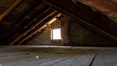 Photo of Every Day, Someone Unlatched My Attic Door – A Note Appeared: “Meet in the Attic at Midnight. ALONE,” Filling Me with Dread