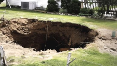 Photo of I Returned from Vacation to Discover a Large Hole in My Backyard – I Was About to Contact the Police Until I Noticed What Lay at the Bottom