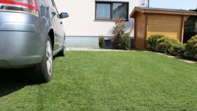 Photo of My Overbearing New Neighbors Turned My Perfect Lawn Into a Parking Space – I’m Elderly, but My Retaliation Was Merciless