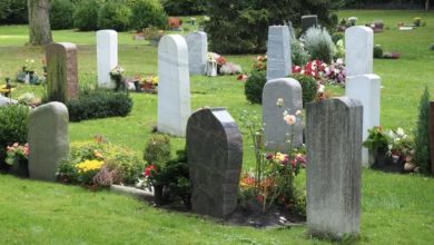 Photo of I Witnessed a Woman Discarding the Flowers I Left on My Mother’s Grave – Her Reason Changed My Life