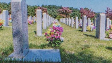 Photo of A Year Following Her Son’s Passing, a Woman Discovers Her Daughter-In-Law’s Grave at the Cemetery