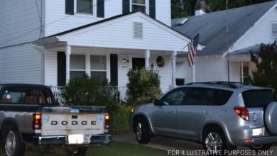 Photo of Bickering Neighbors Construct Wall Along Property Boundary, Awaken to Sounds of a Bulldozer One Morning