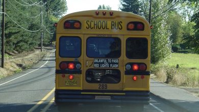 Photo of I Noticed a Child in the School Bus Banging on the Rear Window and Screaming for Assistance