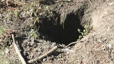 Photo of I Returned Home to Find My Husband and His Ex Excavating Our Garden – Their Decades-Old Secret Left Me Pale