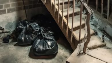 Photo of I Discovered Three Garbage Bags in My Brother and Sister-in-Law’s Basement – The Contents Left Me Stunned