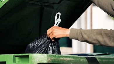 Photo of Suddenly, my husband took to scrubbing the kitchen and managing the trash—when I found out the motive, I orchestrated my revenge