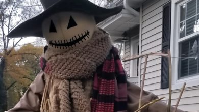 Photo of My wife discovered the clothes she had knitted adorning a scarecrow – I used it as an opportunity to teach a lesson