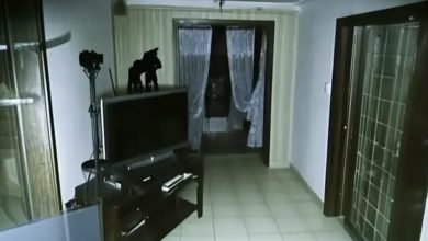 Photo of Items in My Home Began to Shift Positions — I Set Up a Security Camera and Was Astonished by What the Footage Revealed