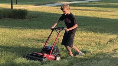 Photo of My Neighbor Requested My 12-Year-Old Son to Mow Her Lawn, Then Declined to Pay – She Wasn’t Prepared for My Retaliation