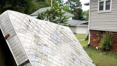 Photo of Grandfather Forbids Anyone from Touching His Old Mattress, and After His Death, a Girl Discovers a Hidden Stash Inside