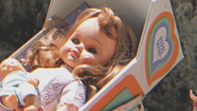 Photo of Janitor Purchases Old Doll at Flea Market, Gives it to Child, and Hears Mysterious Cracking Noise