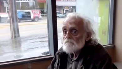 Photo of An Elderly Man with OCD Develops Feelings for a Waitress, Only to Be Publicly Humiliated by a Rival the Following Day