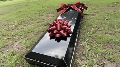 Photo of During our wedding ceremony, a coffin with a gift bow was delivered — I almost fainted when it was opened