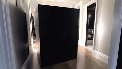 Photo of After returning from my honeymoon, I discovered a large black box in my hallway — the shocking contents inside turned my world upside down