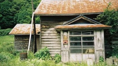 Photo of I sold my late grandfather’s house for a very low price, unaware of what had been hidden in the basement for years