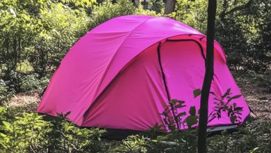 Photo of After returning home from my daughter’s funeral, I discovered a tent in my backyard — what I found inside left me in shock