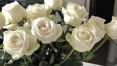 Photo of I grieved my wife’s loss for five years, but one day I was shocked to find the same flowers I had placed on her grave sitting in a vase in the kitchen