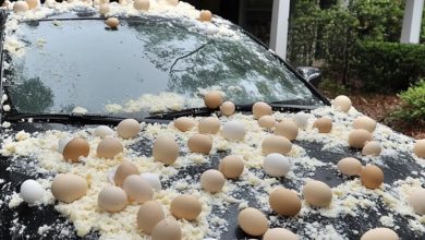 Photo of My neighbor pelted my car with eggs because he claimed it obstructed the view of his Halloween decorations