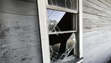 Photo of Wealthy Neighbor’s Son Shattered My Window with a Ball — They Declined to Compensate, but Fate Struck from an Unexpected Source