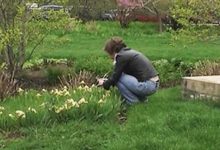 Photo of My neighbor tiptoed into my garden with a shovel, assuming I was out — I was astounded to see what she excavated from my lawn