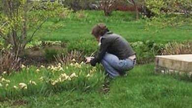 Photo of My neighbor tiptoed into my garden with a shovel, assuming I was out — I was astounded to see what she excavated from my lawn