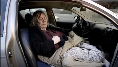 Photo of No One Realized an Elderly Woman Had Been Living in Her Car for Years Until a Neighbor Discovered Her Secret