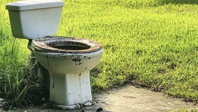 Photo of After I Requested My Neighbor Not to Sunbathe in Front of My Son’s Window, She Placed a Toilet on My Lawn with a Note Saying, ‘Flush Your Opinion Here.’