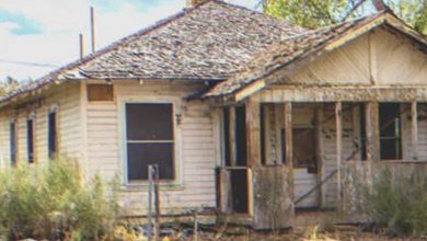 Photo of Woman Raises Her Son’s Daughter After He Left 10 Years Ago, He Comes Back to Find the House Deserted and Empty