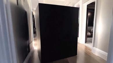 Photo of After Coming Back from My Honeymoon, I Discovered a Large Black Box in My Hallway — The Shocking Contents Turned My World Upside Down