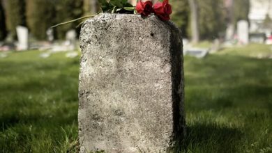 Photo of I Witnessed a Woman Discarding the Flowers I Left on My Mother’s Grave — Learning Her Story Changed My Life Forever