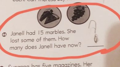 Photo of 7 Homework Questions for Kids That Baffle Even Adults