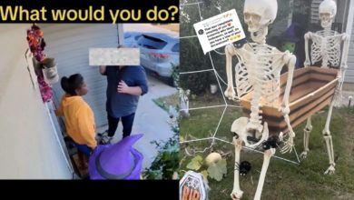 Photo of Neighbor’s Amusing Comeback to Halloween Decoration Complaints Becomes a Viral Sensation!