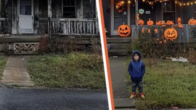 Photo of A Young Boy Transforms an Elderly Woman’s Home for Halloween – Her Emotional Reaction Will Brighten Your Day