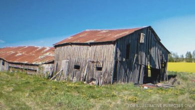 Photo of Men Ridicule a Sister for Inheriting an Old Barn, but Wealth Drops at Her Feet as She Steps Inside