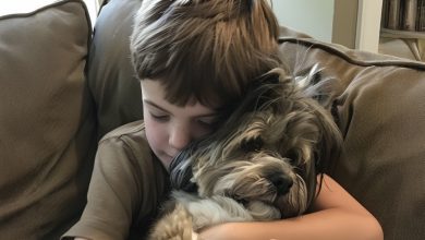 Photo of A Rescue Dog Joined Our Family — The Following Night, My 8-Year-Old Son Went Missing