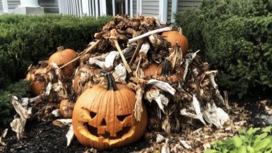 Photo of My neighbors tossed their rotting Halloween decorations in my yard, but I taught them a lesson