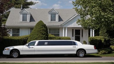 Photo of A man gives his paycheck to a woman with a child who needed money for a ticket — the next day, a big white limousine arrives at his house