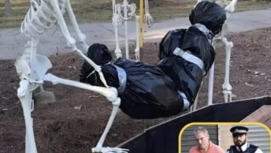 Photo of Neighbor’s Brilliant Reaction to Halloween Decoration Complaints Becomes an Internet Sensation