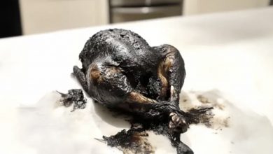 Photo of My sister-in-law tampered with my oven settings so the Christmas turkey would burn, intending to embarrass me in front of our guests