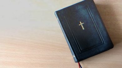 Photo of An elderly woman leaves her grandson out of her will, gifting him only a Bible with a note that says, “Open this in tough times”